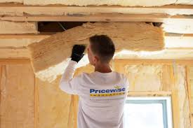 Eco-Friendly or Green Insulation Solutions in Edinburg, TX